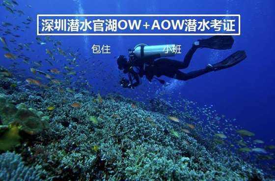 菲律宾南部降雨已致超49万人受灾