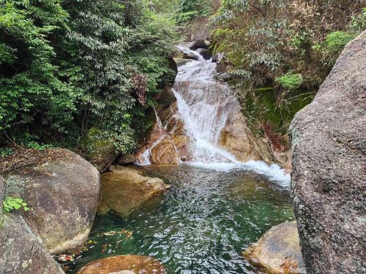 拯救精灵的土地5